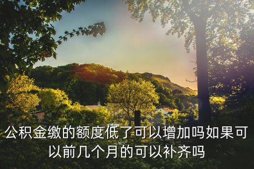 公積金繳的額度低了可以增加嗎如果可以前幾個月的可以補齊嗎