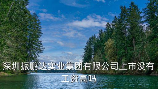 深圳振鵬達(dá)實(shí)業(yè)集團(tuán)有限公司上市沒(méi)有工資高嗎
