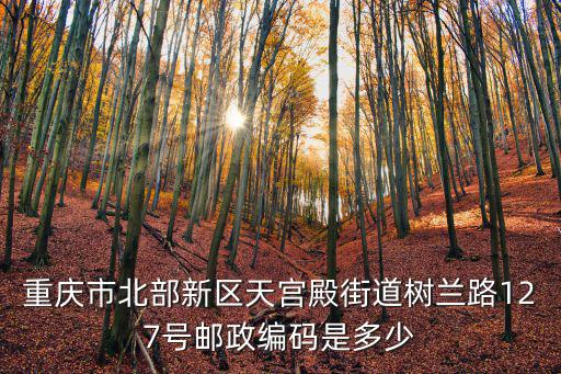 重慶市北部新區天宮殿街道樹蘭路127號郵政編碼是多少