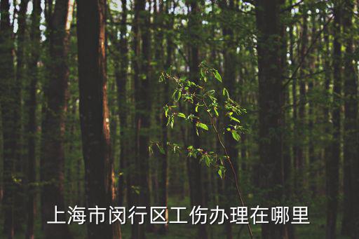 上海市閔行區工傷辦理在哪里