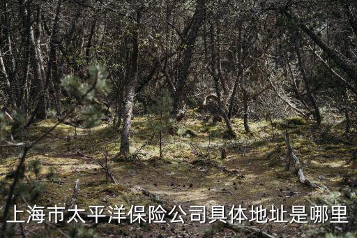 上海市太平洋保險公司具體地址是哪里