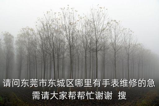 請問東莞市東城區哪里有手表維修的急需請大家幫幫忙謝謝  搜