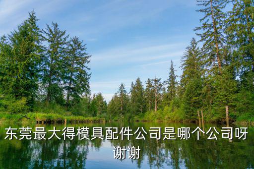 東莞最大得模具配件公司是哪個公司呀謝謝