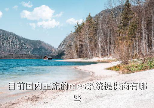 目前國內(nèi)主流的mes系統(tǒng)提供商有哪些