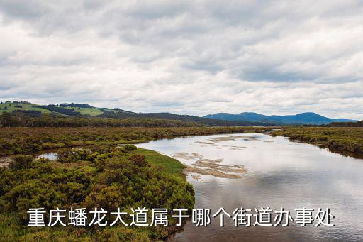 重慶蟠龍大道屬于哪個街道辦事處
