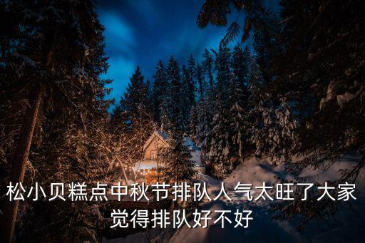 松小貝糕點中秋節排隊人氣太旺了大家覺得排隊好不好
