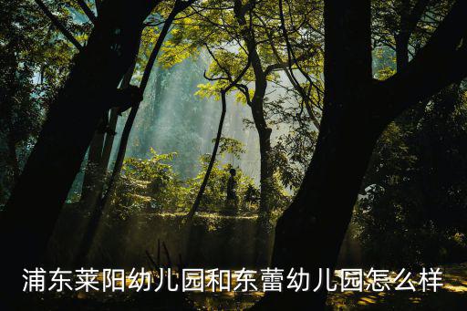 上海市東蕾幼兒園，浦東萊陽幼兒園和東蕾幼兒園怎么樣