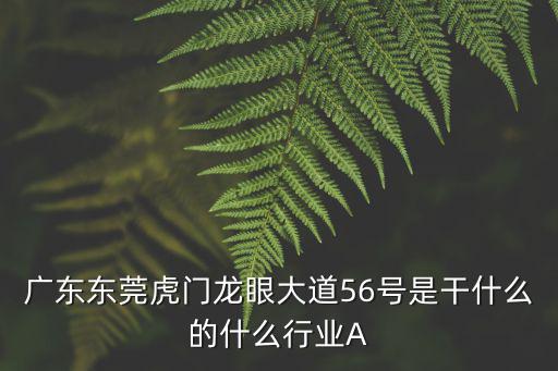 廣東東莞虎門龍眼大道56號是干什么的什么行業(yè)A