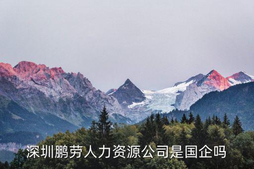 深圳市鵬勞人力資源管理有限公司，想問下深圳鵬勞人力資源公司介紹的工作好不好