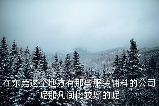 在東莞這個(gè)地方有那些服裝輔料的公司呢那幾間比較好的呢