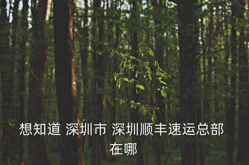 想知道 深圳市 深圳順豐速運(yùn)總部 在哪