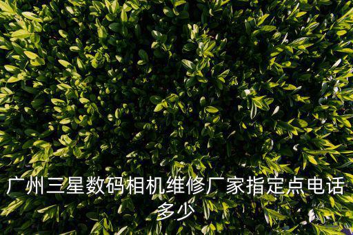 廣州三星數碼相機維修廠家指定點電話多少