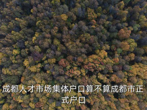 成都人才市場集體戶口算不算成都市正式戶口