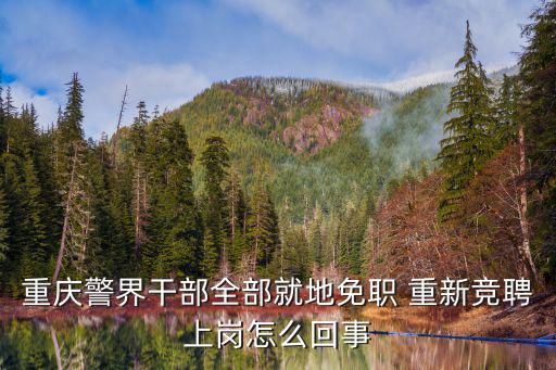 重慶市競爭上崗，重慶市暨華中學怎么樣啊在里面當教師待遇好嗎