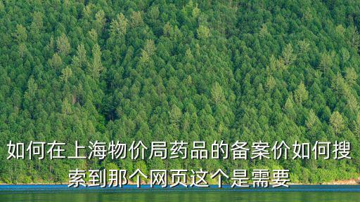 如何在上海物價局藥品的備案價如何搜索到那個網頁這個是需要