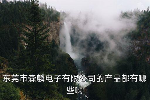 東莞市森麟電子有限公司的產(chǎn)品都有哪些啊