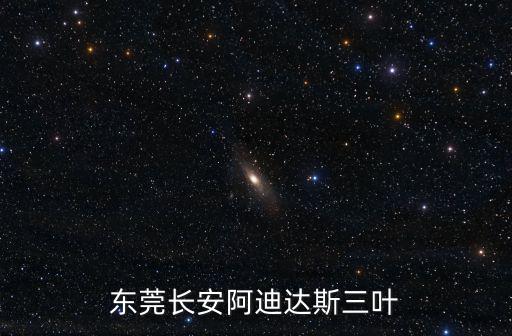 東莞長安阿迪達斯三葉