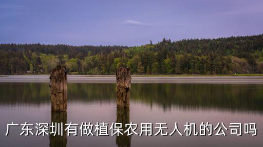 深圳無(wú)人機(jī)科技，廣東深圳有做植保農(nóng)用無(wú)人機(jī)的公司嗎