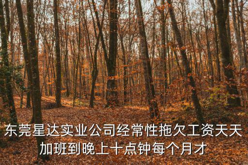 東莞星達實業公司經常性拖欠工資天天加班到晚上十點鐘每個月才
