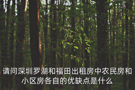 請(qǐng)問(wèn)深圳羅湖和福田出租房中農(nóng)民房和小區(qū)房各自的優(yōu)缺點(diǎn)是什么