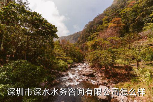 深圳市深水水務咨詢有限公司怎么樣