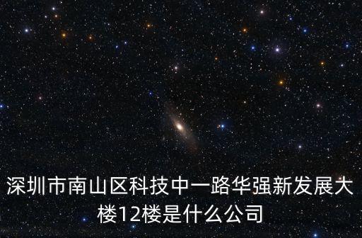 深圳市南山區(qū)科技中一路華強(qiáng)新發(fā)展大樓12樓是什么公司