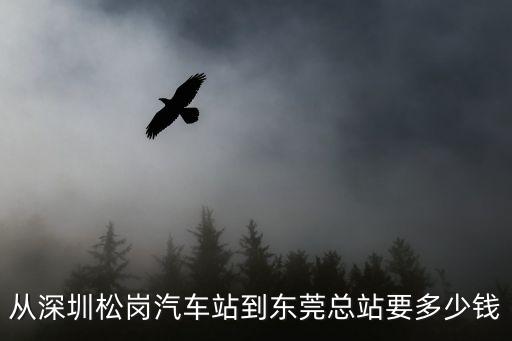 從深圳松崗汽車站到東莞總站要多少錢
