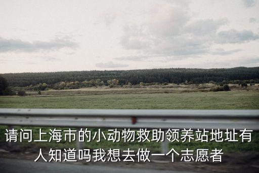 請問上海市的小動物救助領養站地址有人知道嗎我想去做一個志愿者