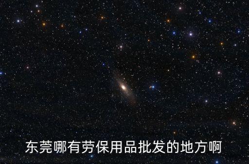 東莞哪有勞保用品批發(fā)的地方啊