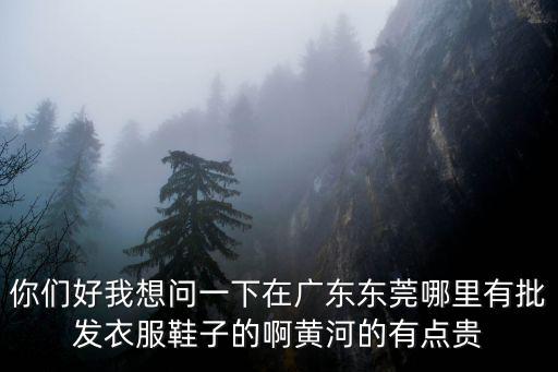 你們好我想問一下在廣東東莞哪里有批發衣服鞋子的啊黃河的有點貴