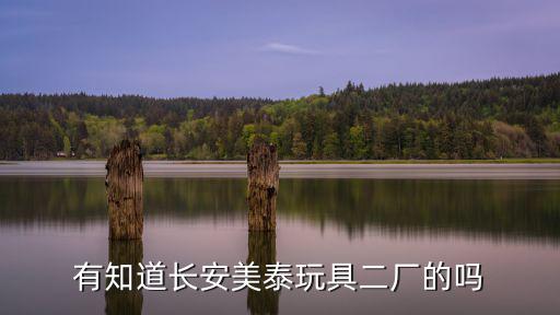有知道長安美泰玩具二廠的嗎