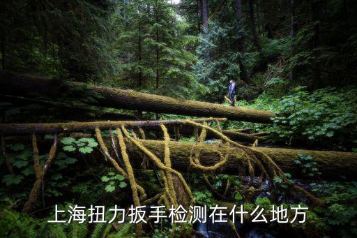 上海扭力扳手檢測(cè)在什么地方