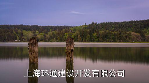 上海環通建設開發有限公司
