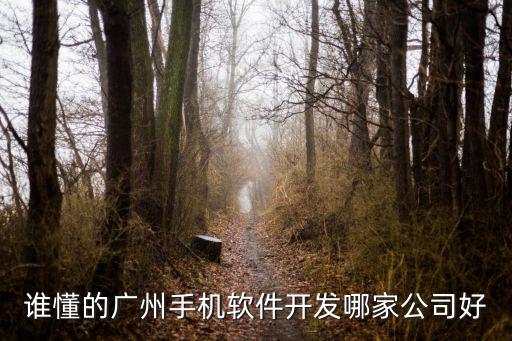 廣州諾特軟件 怎么樣，誰懂的廣州手機軟件開發哪家公司好