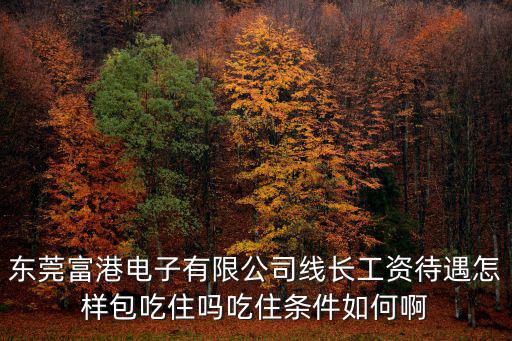 東莞富港電子有限公司線長工資待遇怎樣包吃住嗎吃住條件如何啊