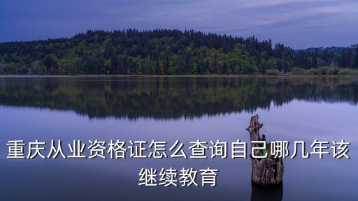 重慶從業(yè)資格證怎么查詢自己哪幾年該繼續(xù)教育