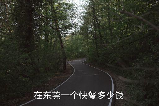 在東莞一個快餐多少錢