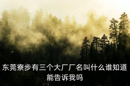 東莞寮步有三個大廠廠名叫什么誰知道能告訴我嗎