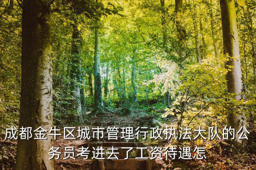 成都金牛區城市管理行政執法大隊的公務員考進去了工資待遇怎