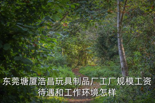 東莞塘廈浩昌玩具制品廠工廠規模工資待遇和工作環境怎樣