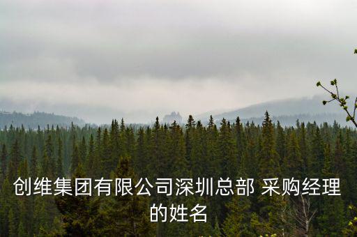 創(chuàng)維集團(tuán)有限公司深圳總部 采購(gòu)經(jīng)理的姓名