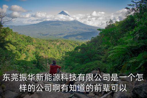 東莞振華新能源，東莞新能源有限公司