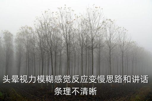 頭暈視力模糊感覺反應變慢思路和講話條理不清晰