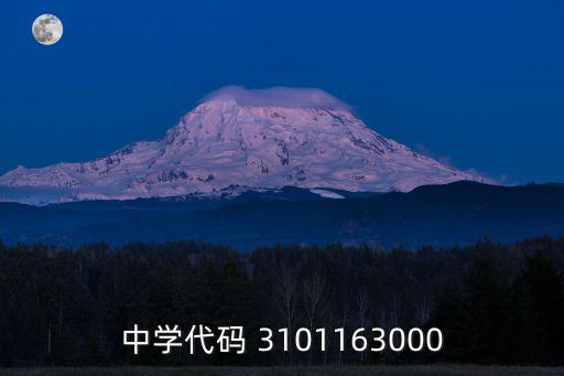 中學代碼 3101163000