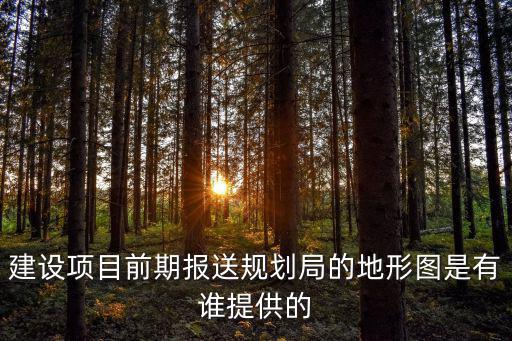建設(shè)項(xiàng)目前期報(bào)送規(guī)劃局的地形圖是有誰(shuí)提供的