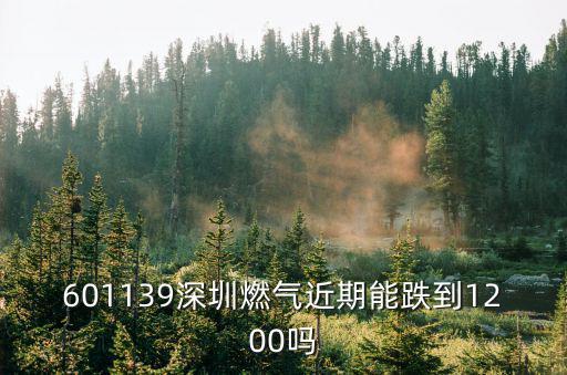 601139深圳燃氣近期能跌到1200嗎