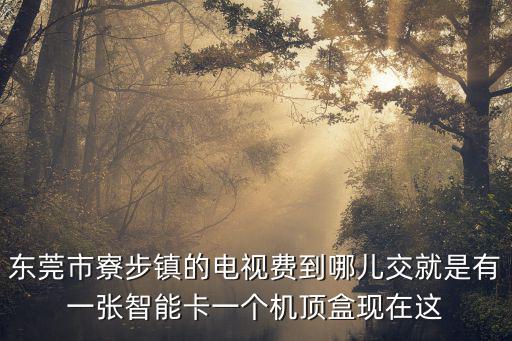 東莞市寮步鎮的電視費到哪兒交就是有一張智能卡一個機頂盒現在這