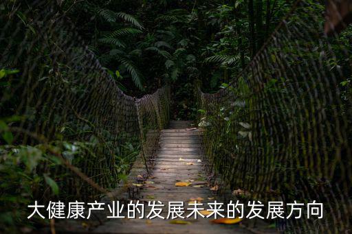 大健康產業的發展未來的發展方向