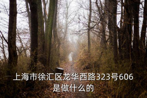 上海市徐匯區(qū)龍華西路323號(hào)606是做什么的