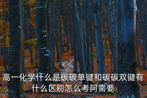 高一化學什么是碳碳單鍵和碳碳雙鍵有什么區別怎么考阿需要